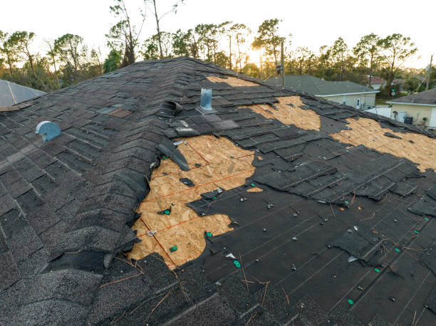 Best Sheet Metal Roofing  in Batesburg Leesville, SC