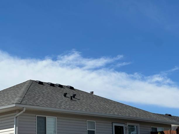 Best Gutter Installation and Repair  in Batesburg Leesville, SC